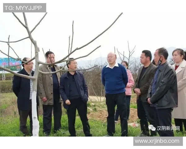 红桃国际专注专业服务引领行业创新与发展之路 红桃国际专注专业服务引领行业创新与发展之路