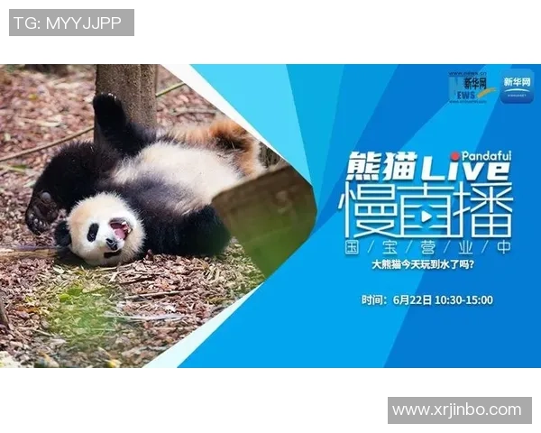 熊猫体育赛事直播亮点全面解析精彩瞬间与独特体验分享